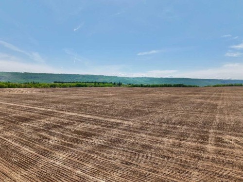 . 84 Street, Peace River, AB 