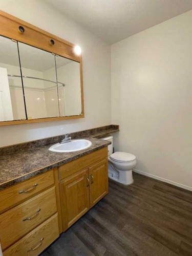 12 Bison Crescent, High Level, AB - Indoor Photo Showing Bathroom