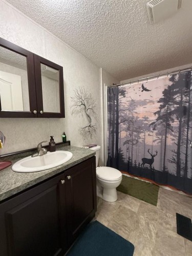 73430 Range Road 161, High Prairie, AB 