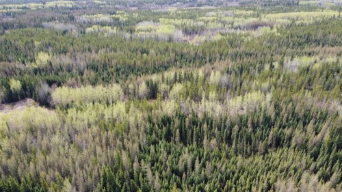 Nw-20-70-6-6 Twp Rd 704, Rural Grande Prairie No. 1, County Of, AB 