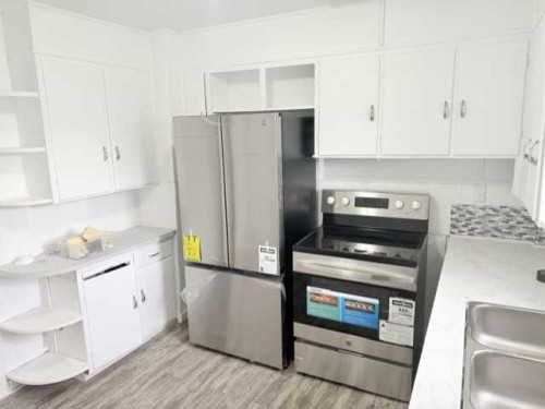 10124 104 Avenue, Peace River, AB - Indoor Photo Showing Kitchen With Double Sink