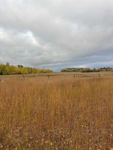 70009 Range Road 75, Grovedale, AB - Outdoor With View