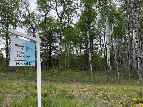 57-704016 Range Road 70, Rural Grande Prairie No. 1, County Of, AB - Outdoor With View