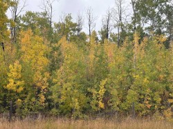 12 Foot Davis Road Rural Northern Sunrise County, AB T0H 2E0