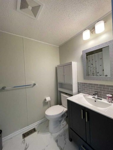 12 Dewberry Road, High Level, AB - Indoor Photo Showing Bathroom