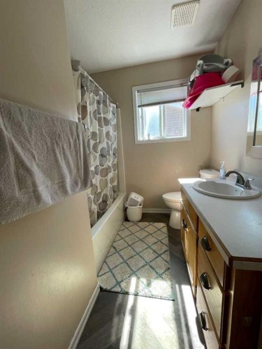 10409 106 Street, High Level, AB - Indoor Photo Showing Bathroom