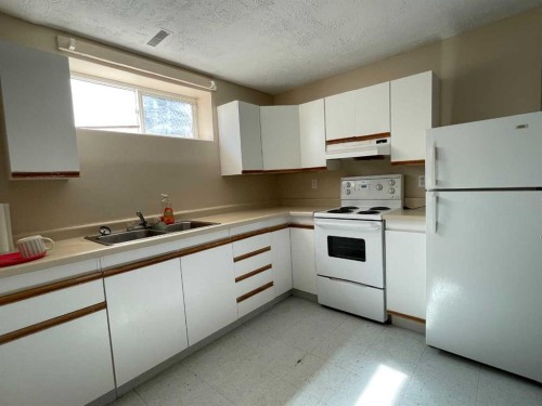 10409 106 Street, High Level, AB - Indoor Photo Showing Kitchen With Double Sink