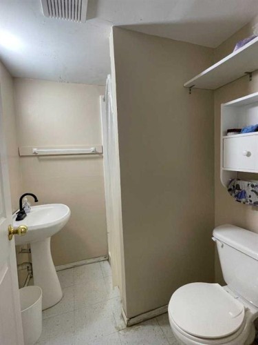 10409 106 Street, High Level, AB - Indoor Photo Showing Bathroom
