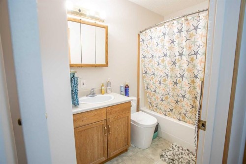 10415 106 Street, High Level, AB - Indoor Photo Showing Bathroom