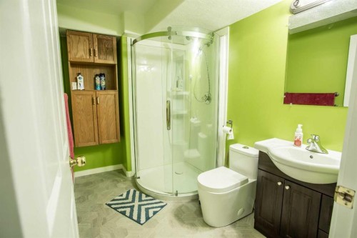 10415 106 Street, High Level, AB - Indoor Photo Showing Bathroom