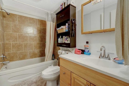10115 99 Avenue, Bezanson, AB - Indoor Photo Showing Bathroom