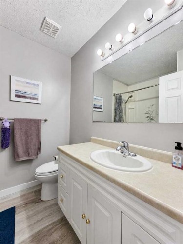 10638 Shand Avenue, Grande Cache, AB - Indoor Photo Showing Bathroom