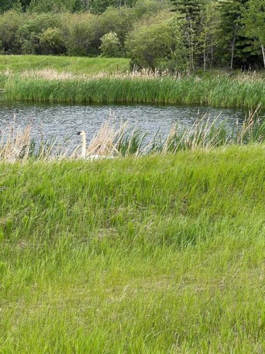 714002 Range Road 85, Wembley, AB 