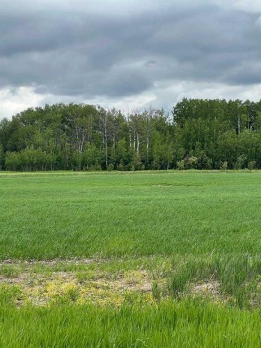 714002 Range Road 85, Wembley, AB 