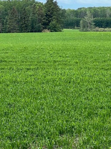 714002 Range Road 85, Wembley, AB 
