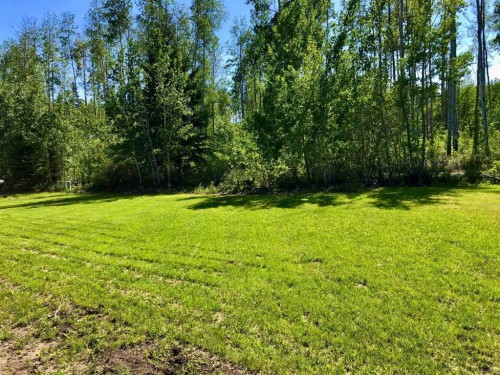 24 Dogwood Drive, High Level, AB 