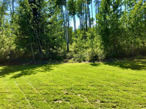 24 Dogwood Drive, High Level, AB 