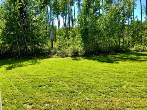 24 Dogwood Drive, High Level, AB 