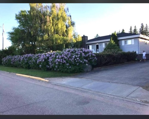 5916-48 Street, High Prairie, AB 