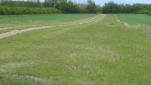 725060 Highway 43, Beaverlodge, AB 