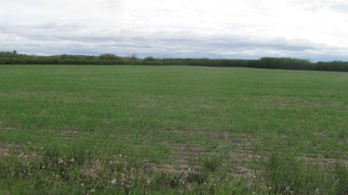 725060 Highway 43, Beaverlodge, AB 