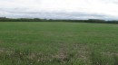 725060 Highway 43, Beaverlodge, AB 