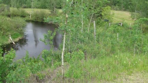 725060 Highway 43, Beaverlodge, AB 
