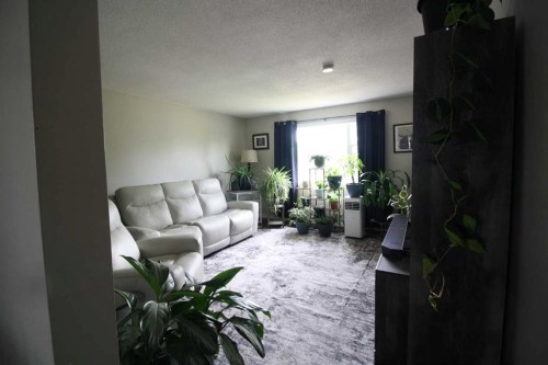 10314 100 Street, High Level, AB 