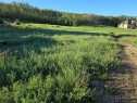 10312 86 Street, Peace River, AB 