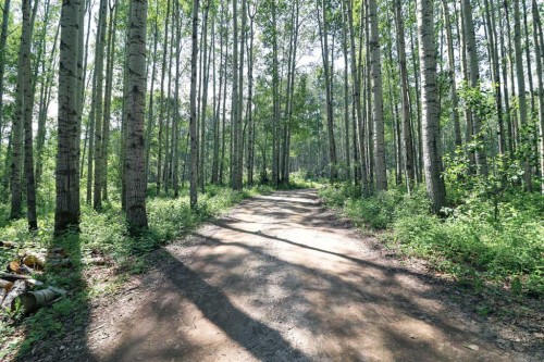 6316 Twp Rd 694, Grovedale, AB 