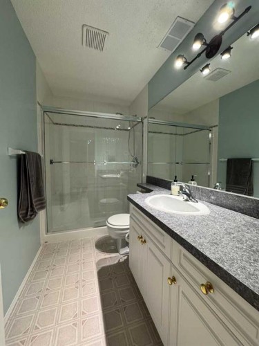 806 Cherry Crescent, Beaverlodge, AB - Indoor Photo Showing Bathroom