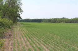 125 Range Road SEFort Vermilion, AB T0H 1N0