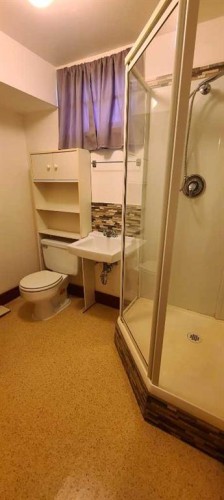 4820 53 Avenue, Grimshaw, AB - Indoor Photo Showing Bathroom