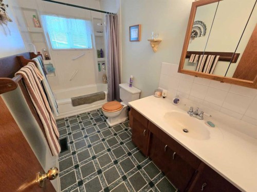 4610 52 Avenue, Grimshaw, AB - Indoor Photo Showing Bathroom