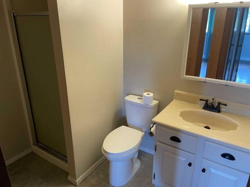 11314 113 Avenue, Fairview, AB - Indoor Photo Showing Bathroom