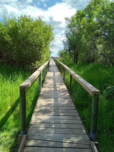 21  Peace River Avenue Peace River East, Joussard, AB 