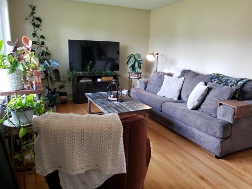 10213 106 Avenue, Fairview, AB - Indoor Photo Showing Living Room