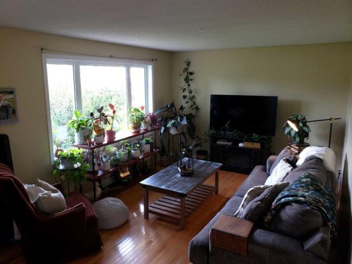 10213 106 Avenue, Fairview, AB - Indoor Photo Showing Living Room