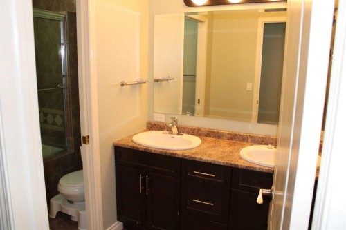 72077 Twp Rd 714A, Dimsdale, AB - Indoor Photo Showing Bathroom