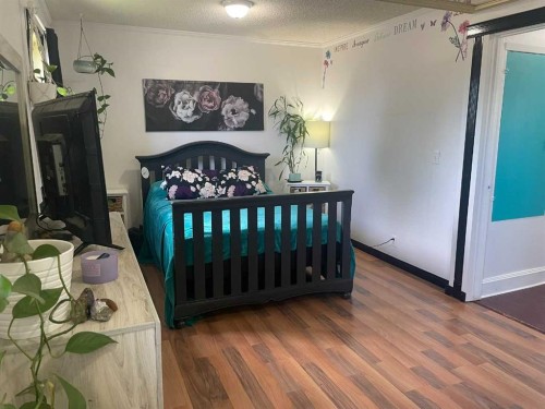 4702 48 Avenue, Grimshaw, AB - Indoor Photo Showing Bedroom