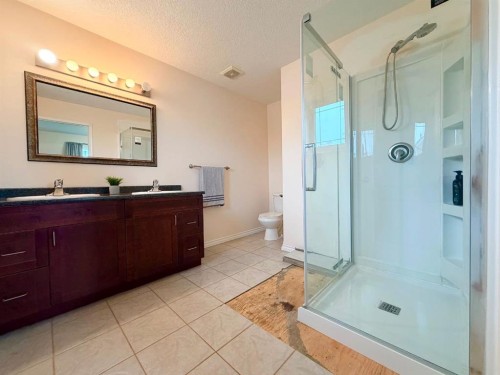 4611 44 Street, Rycroft, AB - Indoor Photo Showing Bathroom