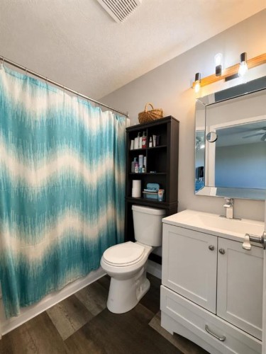 4408 56Th Avenue, High Prairie, AB - Indoor Photo Showing Bathroom
