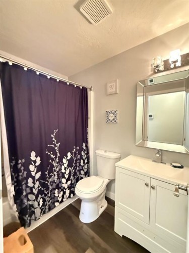 4408 56Th Avenue, High Prairie, AB - Indoor Photo Showing Bathroom