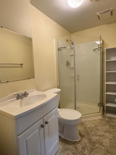 219 8 Street, Hines Creek, AB - Indoor Photo Showing Bathroom