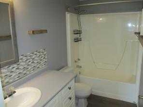 914 2B Street Se, Manning, AB - Indoor Photo Showing Bathroom