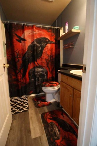 10204 112 Avenue, High Level, AB - Indoor Photo Showing Bathroom