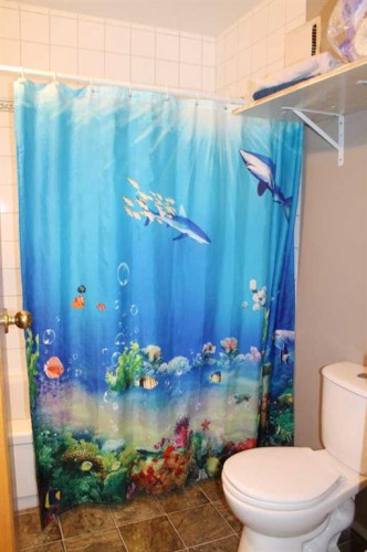 420 3Rd Street Ne, Manning, AB - Indoor Photo Showing Bathroom