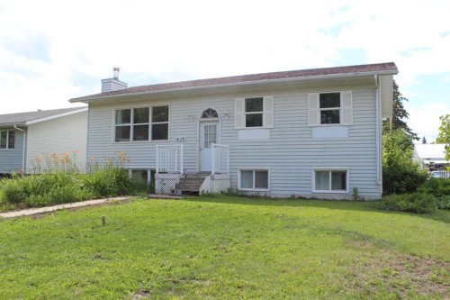 420 3Rd Street Ne, Manning, AB - Outdoor