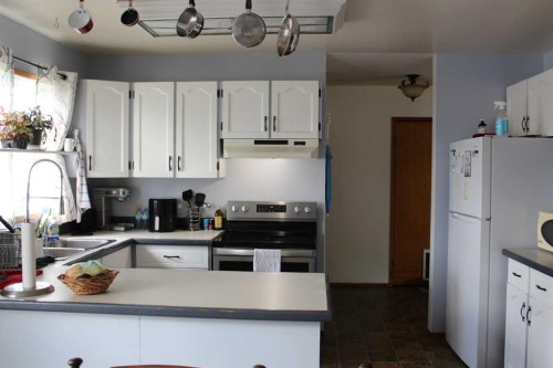 420 3Rd Street Ne, Manning, AB - Indoor Photo Showing Kitchen With Double Sink