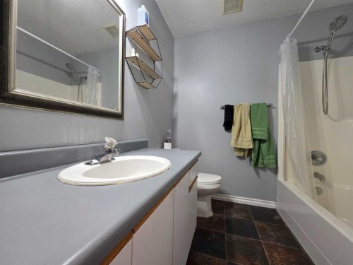 11530 Manning Crescent, Grande Cache, AB - Indoor Photo Showing Bathroom